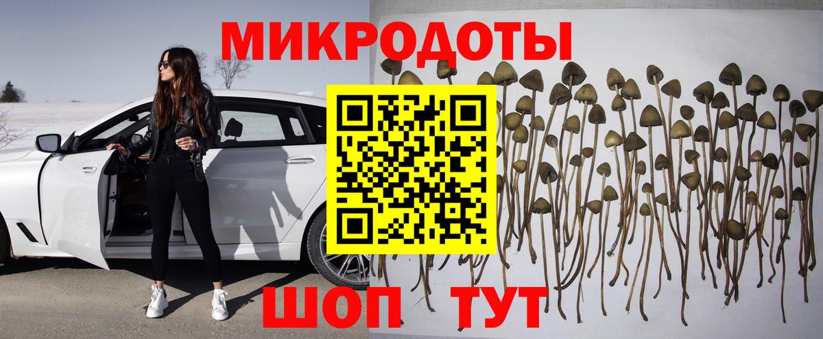 Псилоцибиновые грибы мицелий Бахчисарай