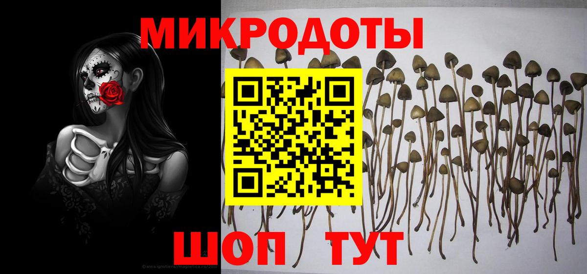 Бахчисарай  купить наркотик  Вход с VPN  Псилоцибиновые грибы Psilocybine cubensis 